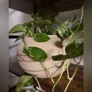 Handmade Stoneware Planter | Wabi-Sabi Organic Ceramic | Neutral Decor